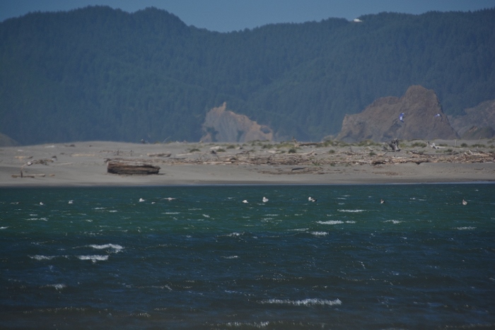 where the Pistol River meets the ocean